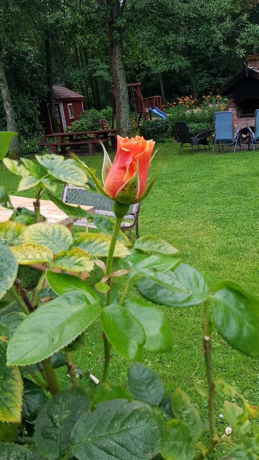Namelis Nr 1 Adeles Sodyba Sturmai Bagian luar foto