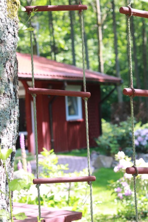 Namelis Nr 1 Adeles Sodyba Sturmai Bagian luar foto