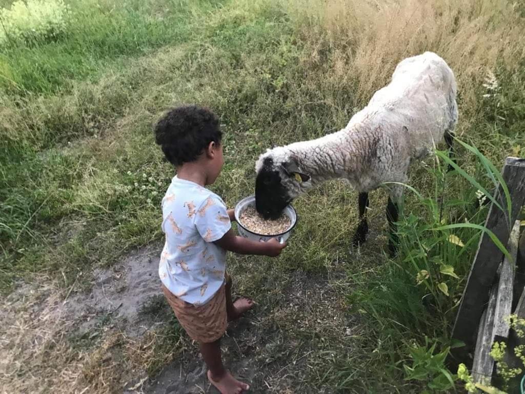 Namelis Nr 1 Adeles Sodyba Sturmai Bagian luar foto