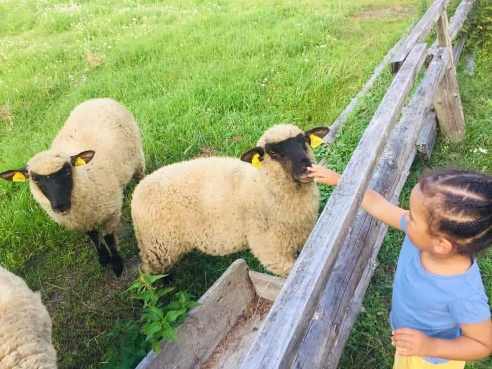 Namelis Nr 1 Adeles Sodyba Sturmai Bagian luar foto