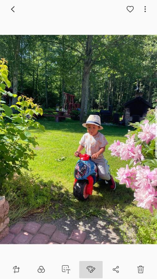 Namelis Nr 1 Adeles Sodyba Sturmai Bagian luar foto