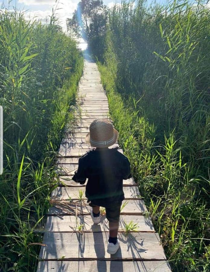 Namelis Nr 1 Adeles Sodyba Sturmai Bagian luar foto